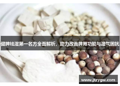 健脾祛湿第一名方全面解析，助力改善脾胃功能与湿气困扰