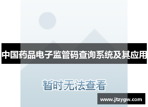 中国药品电子监管码查询系统及其应用