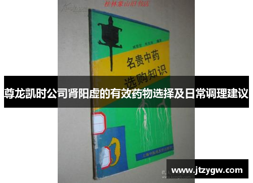 尊龙凯时公司肾阳虚的有效药物选择及日常调理建议