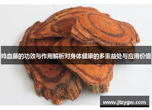 鸡血藤的功效与作用解析对身体健康的多重益处与应用价值