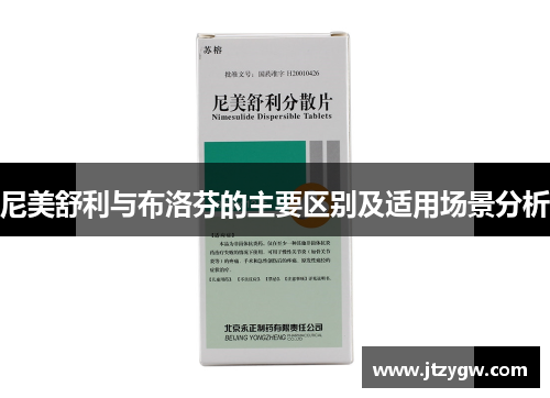尼美舒利与布洛芬的主要区别及适用场景分析