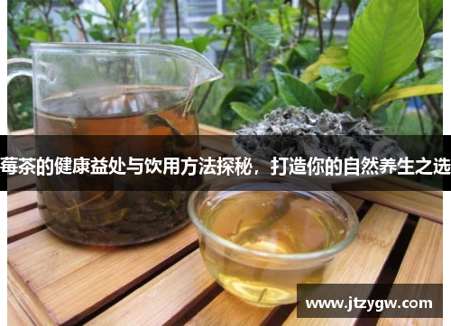 莓茶的健康益处与饮用方法探秘，打造你的自然养生之选